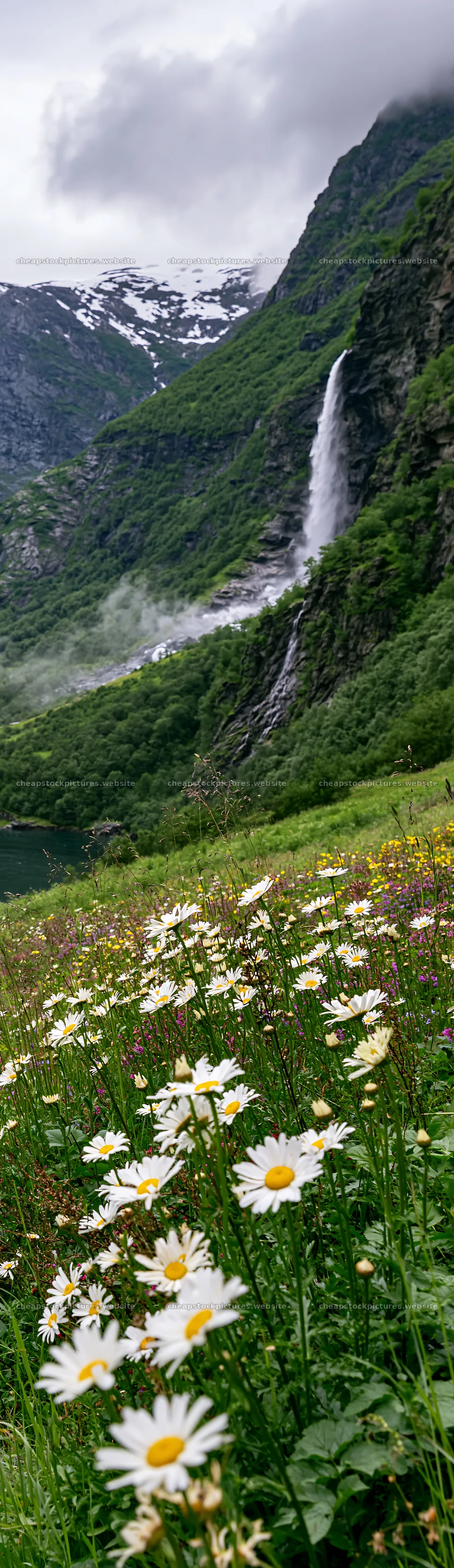 Colorful daisy meadow with a waterfall in a green valley – stock pictures 4268x14762