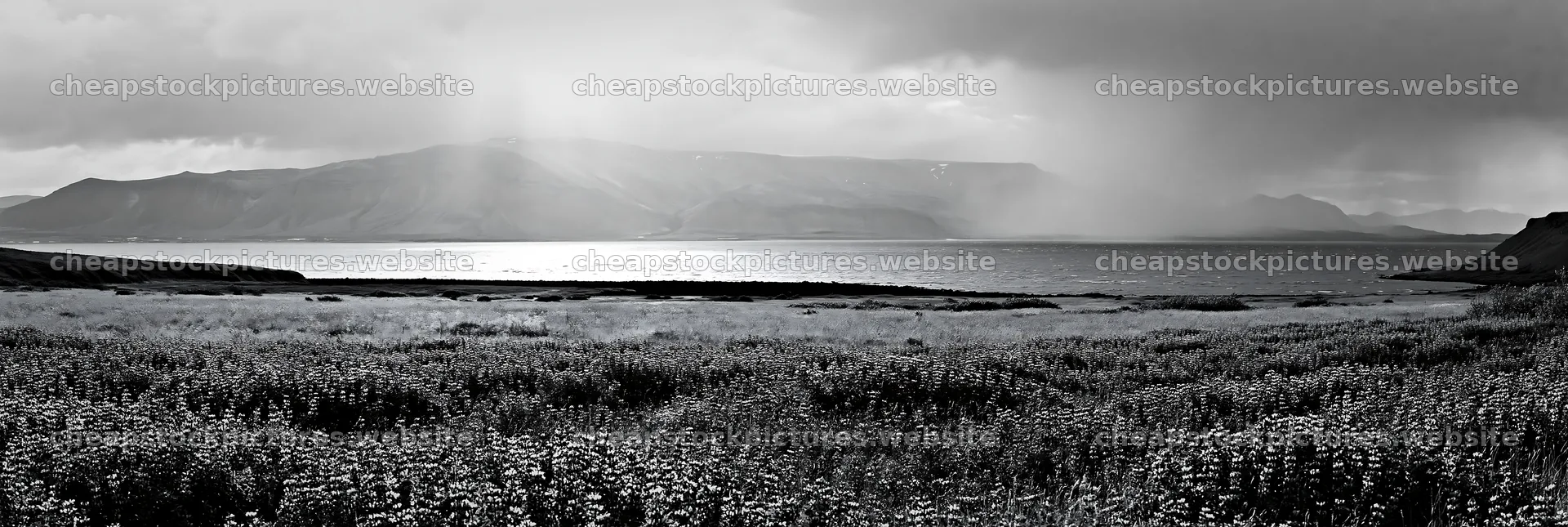 Rainwashed meadow with mountains and water under cloudy sky – stock pictures 13690x4602