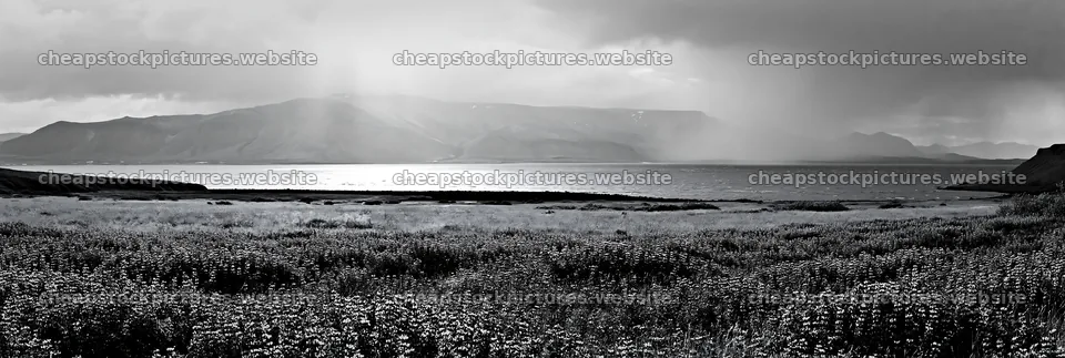 Rainwashed meadow with mountains and water under cloudy sky – stock pictures 13690x4602