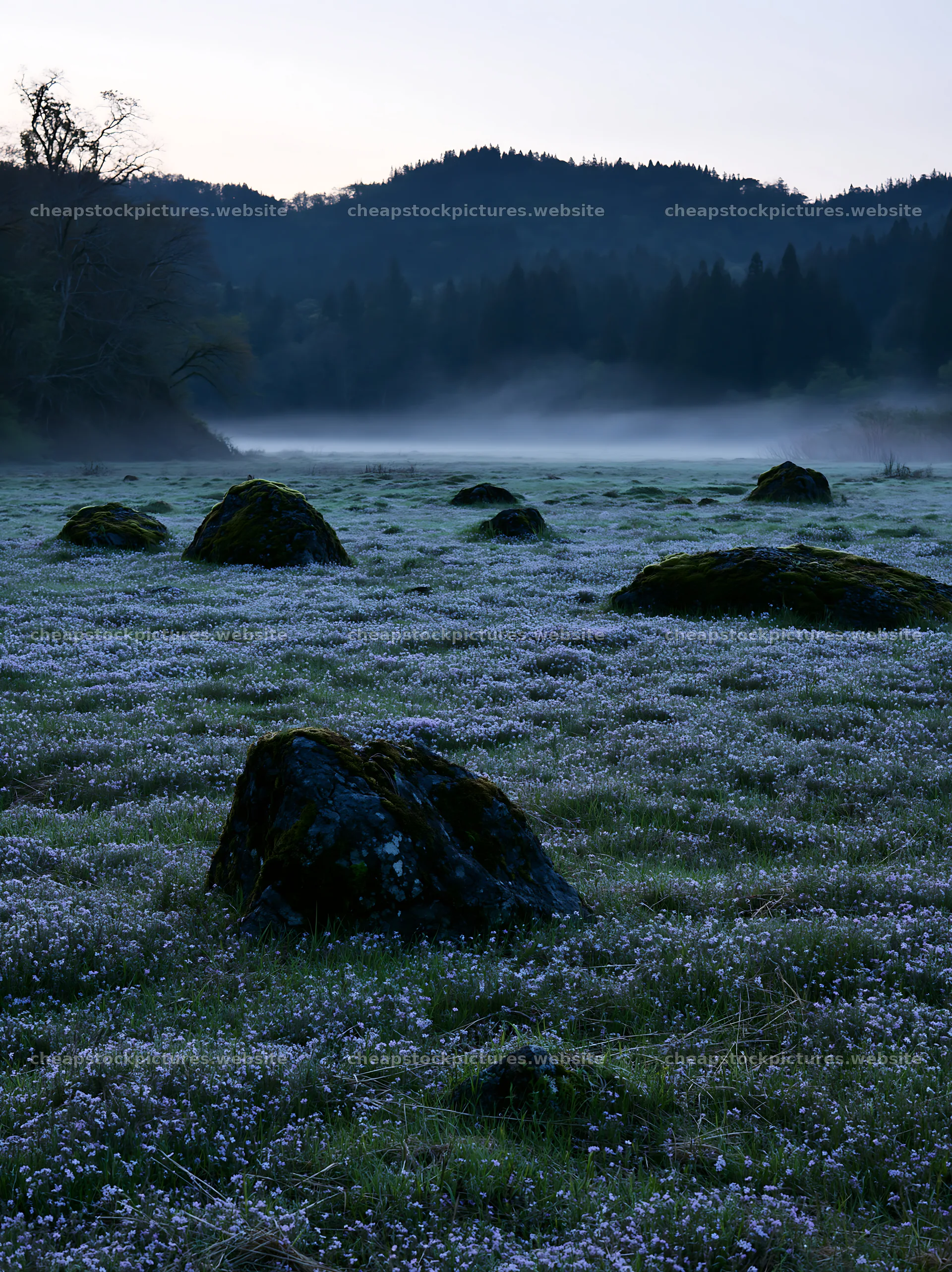 Miyagi spring recovery meadow mossy stone in a misty landscape – stock pictures 6866x9174