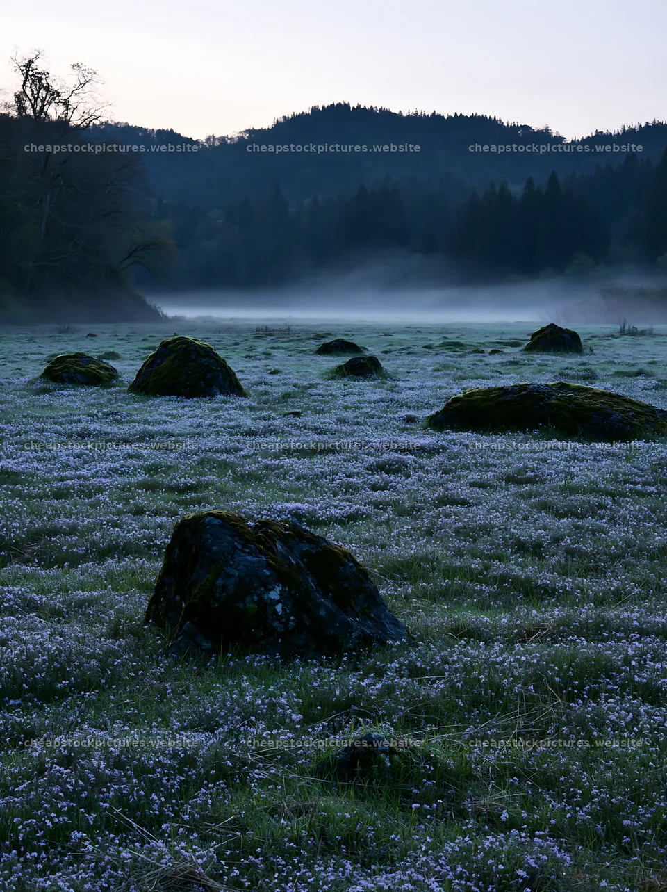 Miyagi spring recovery meadow mossy stone in a misty landscape – stock pictures 6866x9174