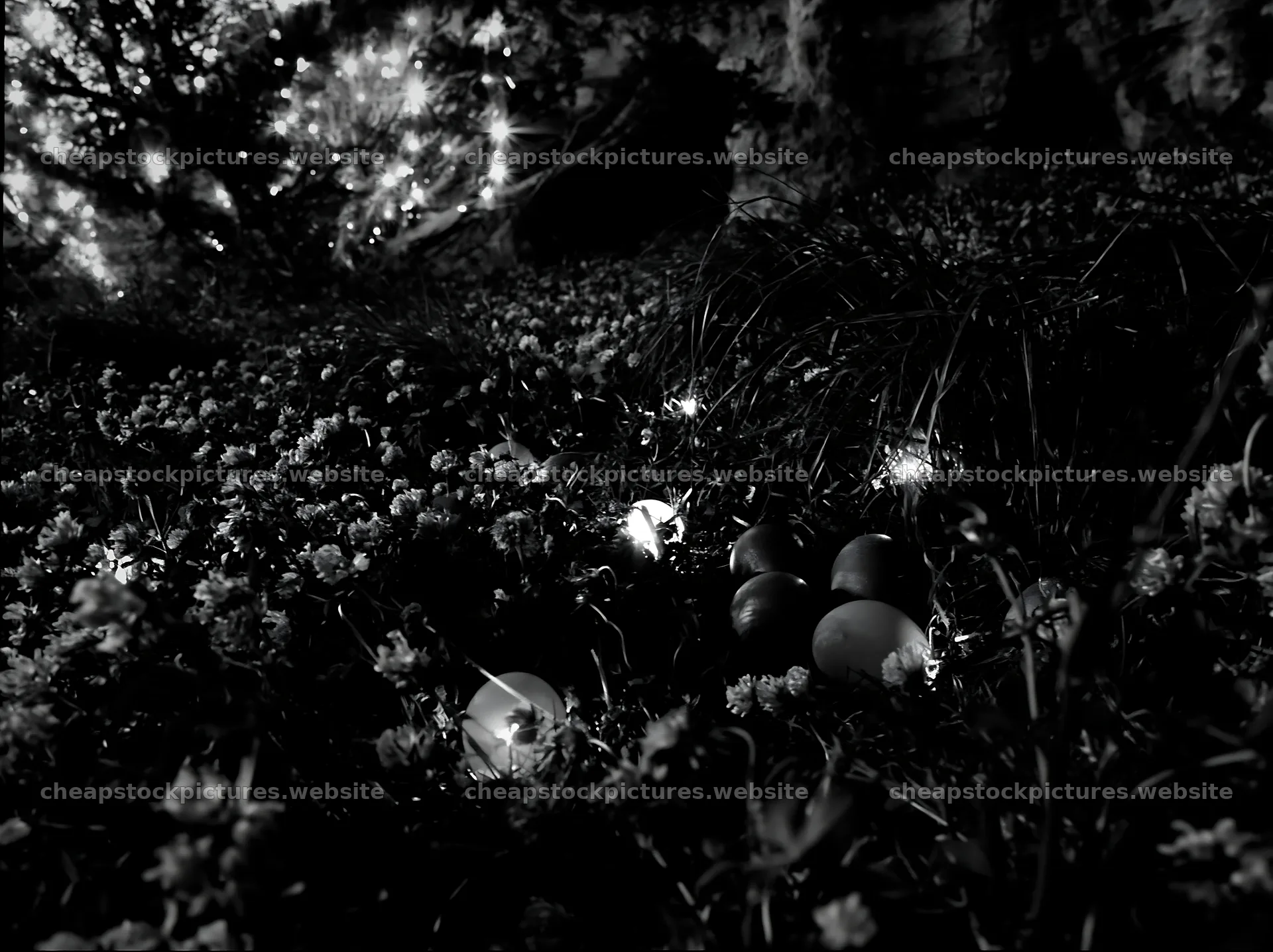 Christmas tree in meadow near cave at dusk – stock pictures 9174x6866