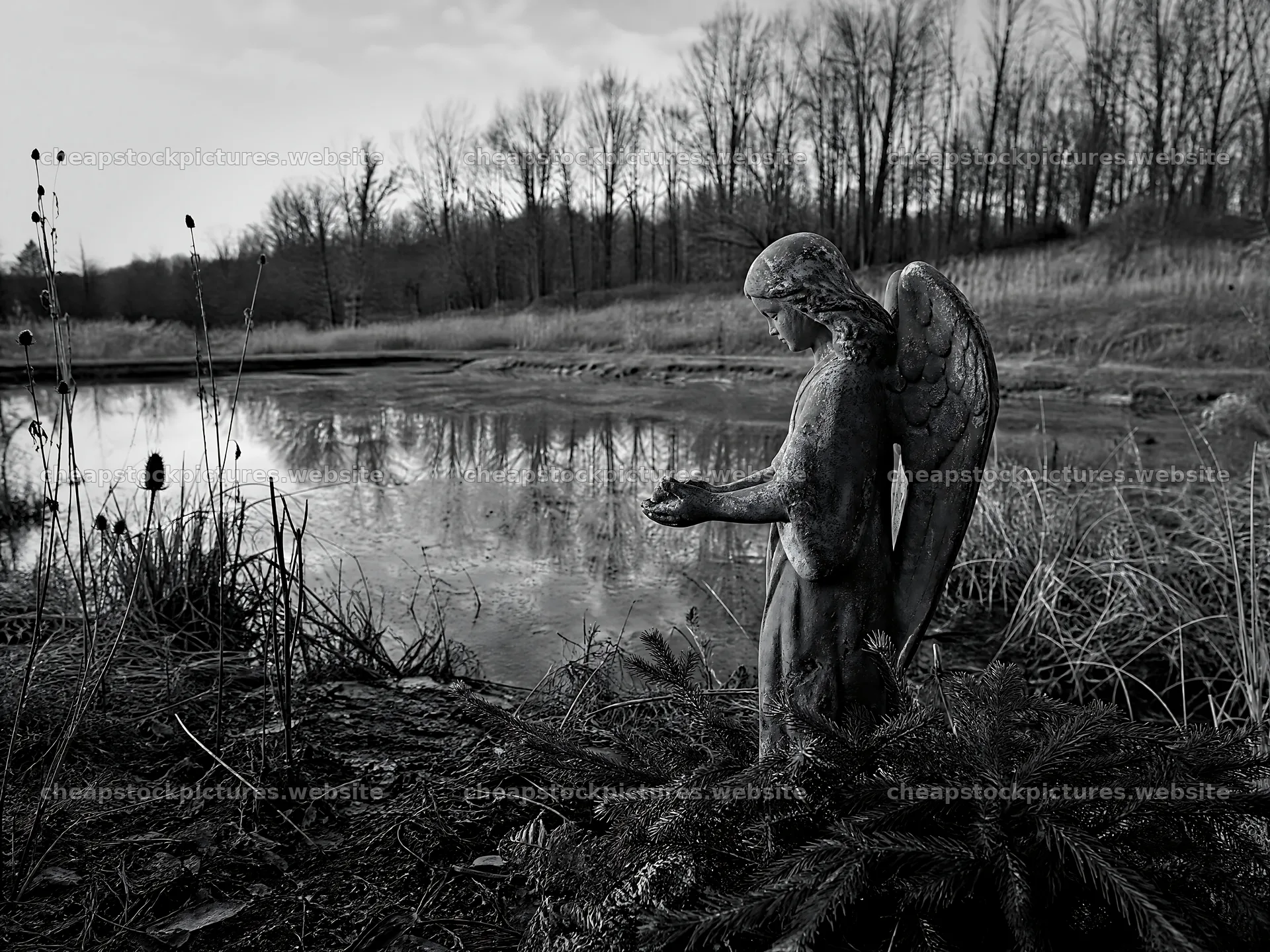 Winter angel statue by the pond in a meadow – stock pictures 9166x6874