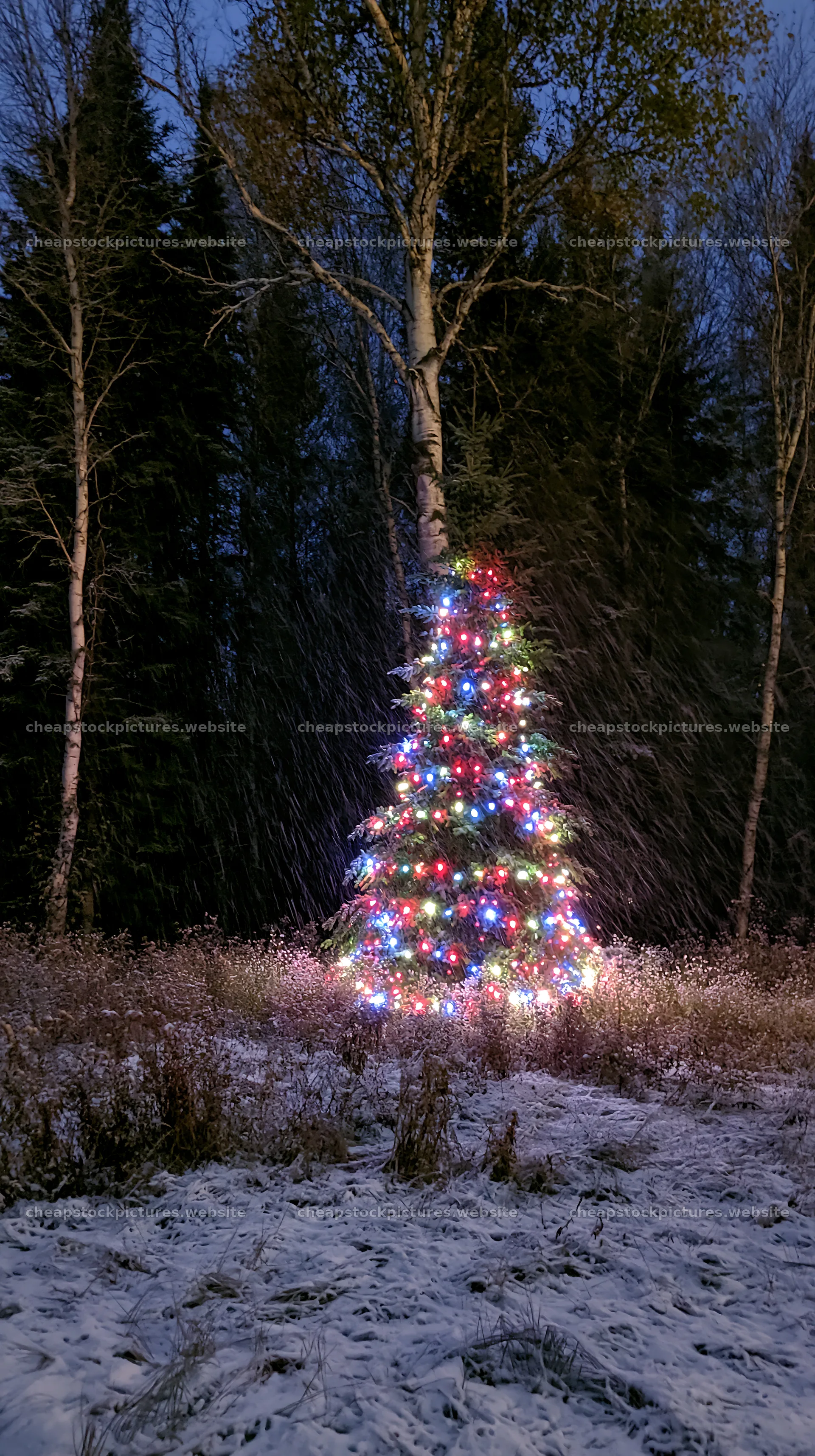 Christmas tree with lights in a snowy meadow – stock pictures 5938x10608