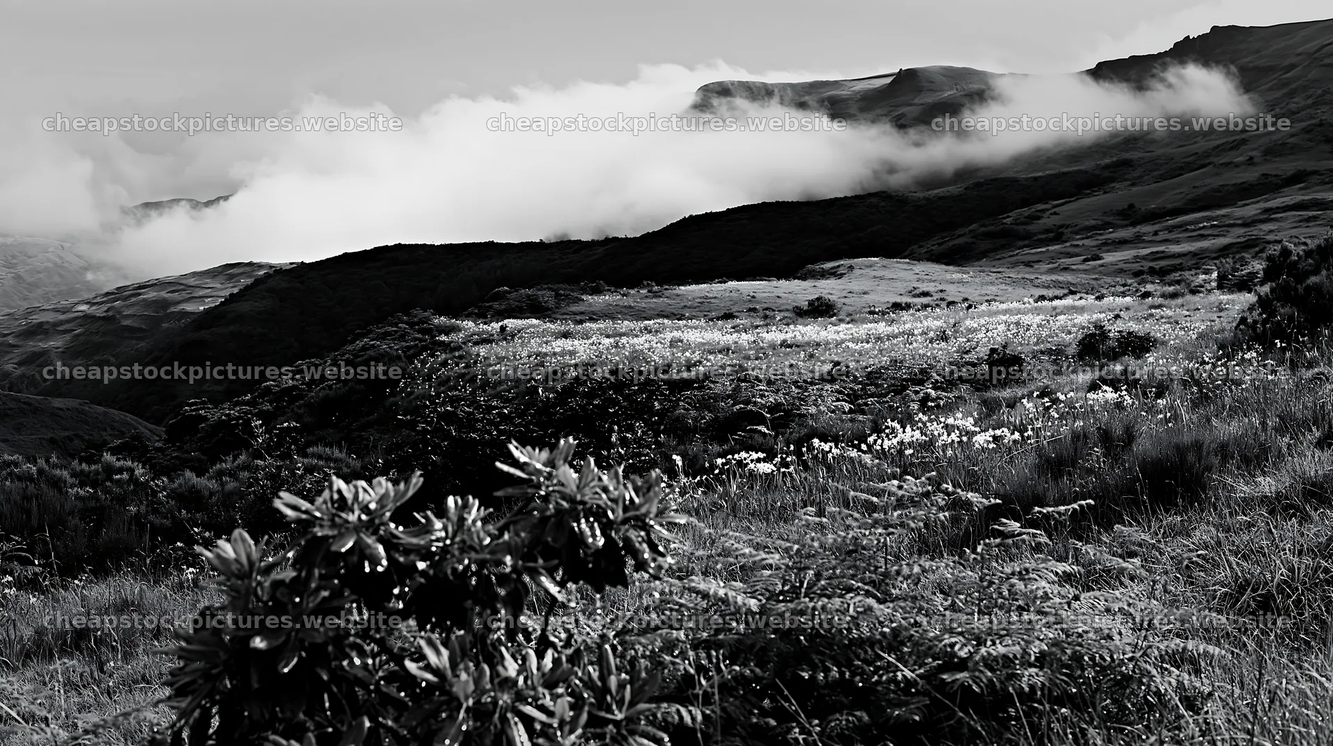 Dewy meadow with clouds and hills in the background – stock pictures 10608x5938