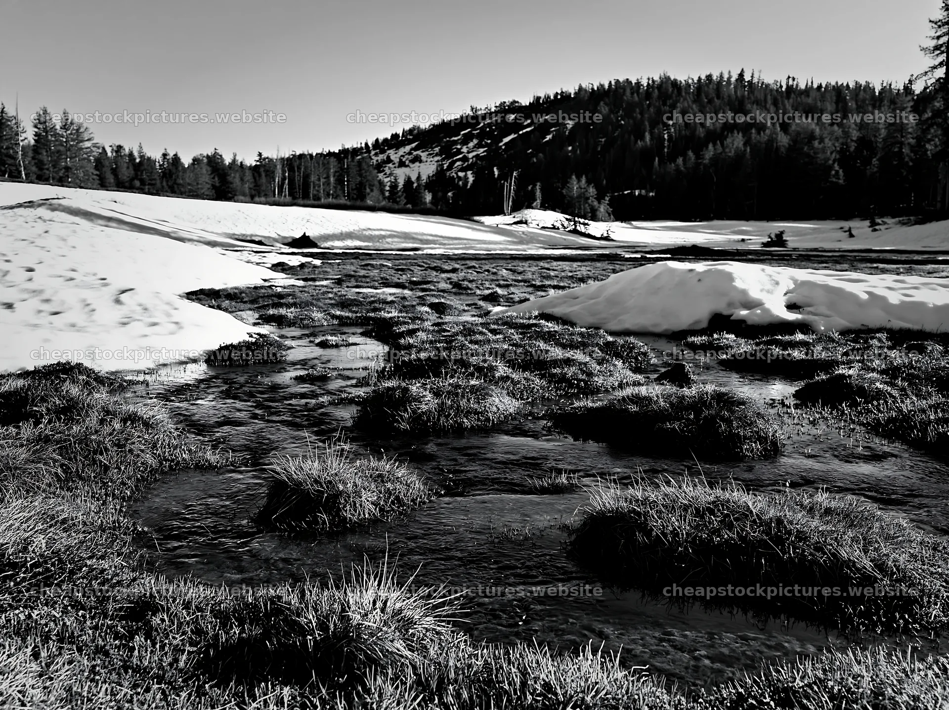 Snowmelt creates water pools in a meadow surrounded by trees – stock pictures 9174x6866