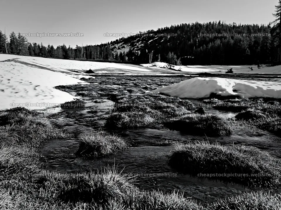 Snowmelt creates water pools in a meadow surrounded by trees – stock pictures 9174x6866
