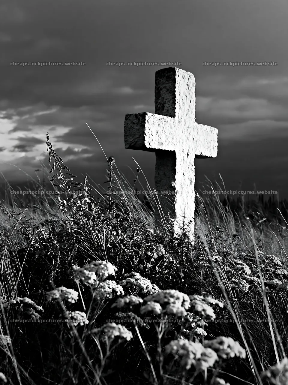 Christian cross in a meadow during Christmas time – stock pictures 6866x9174