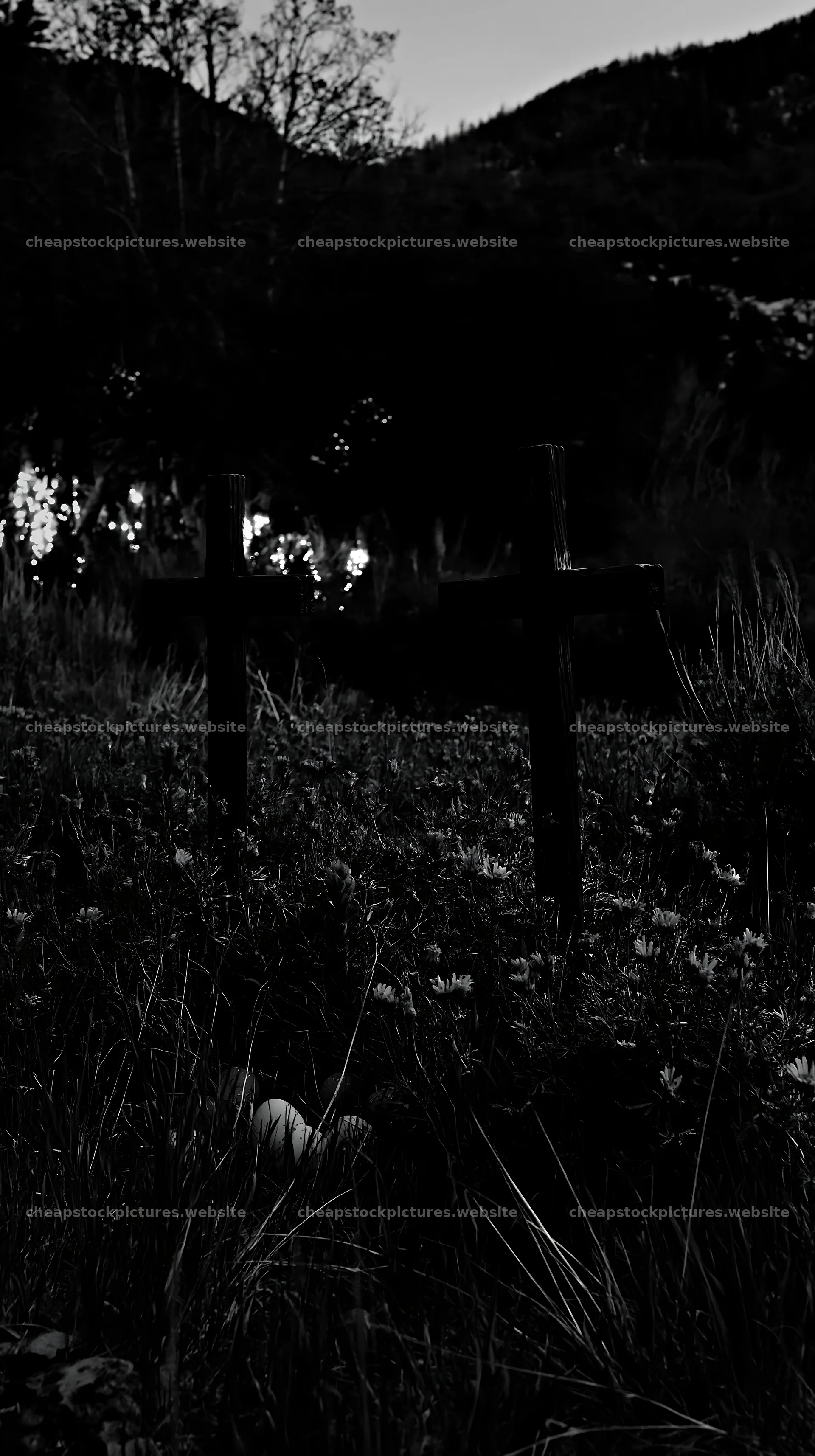 Christian crosses near thermal spring meadow at dusk – stock pictures 5938x10608
