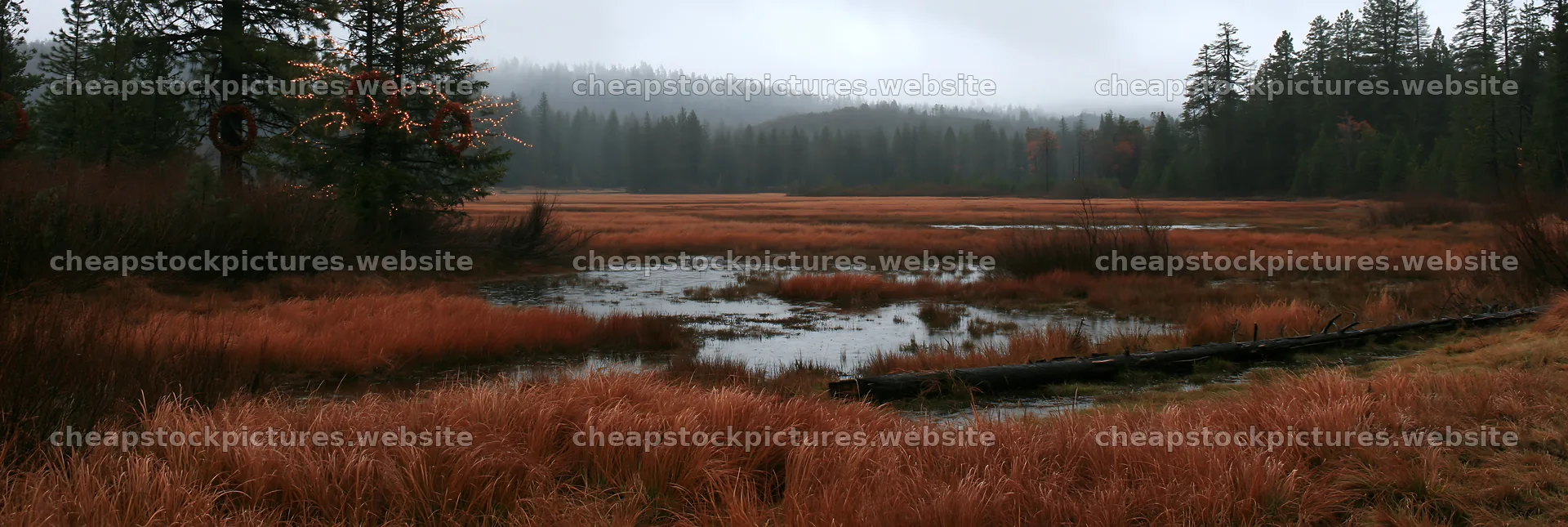 Expansive Christmas meadow with rainwater retention and log – stock pictures 13690x4602