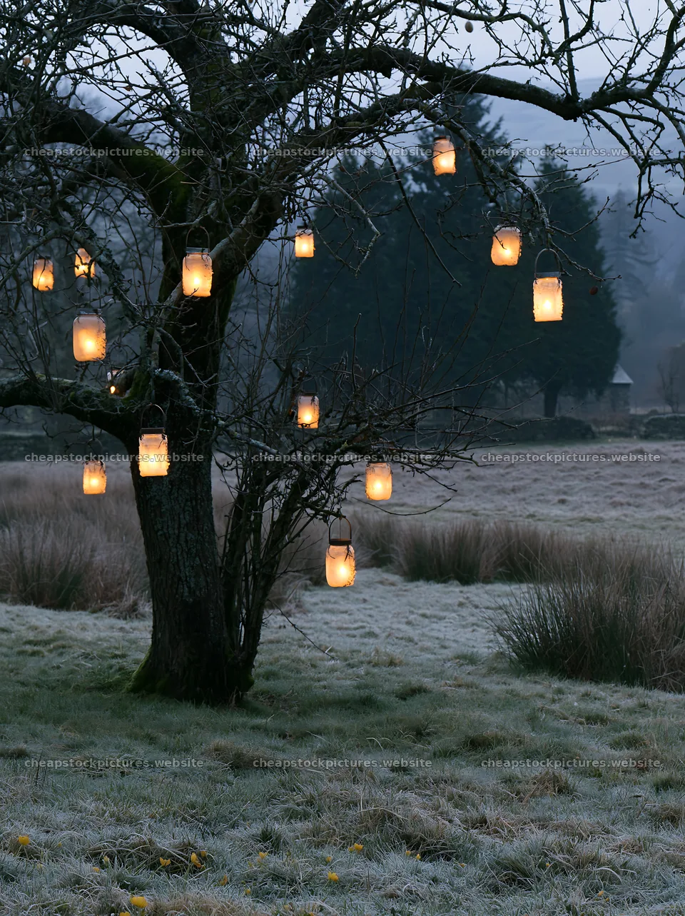 Christmas lanterns hanging from a tree in Lake District meadow – stock pictures 6866x9174
