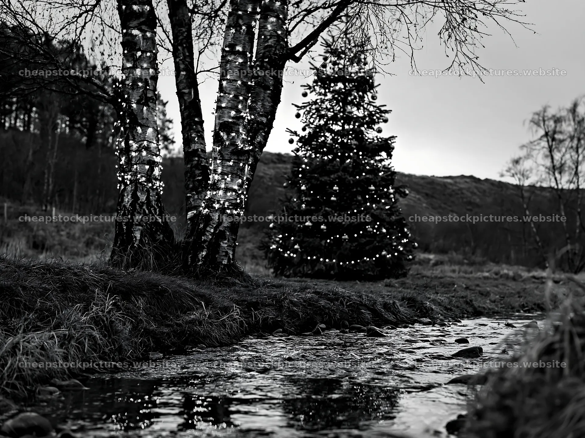 Christmas tree near stream in meadow during winter – stock pictures 9174x6866