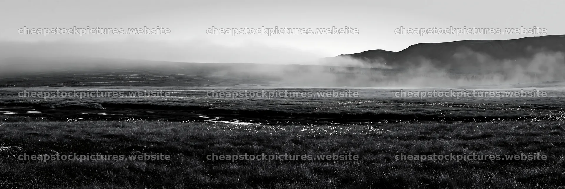 Seedhead meadow under a clear sky with mist in the background – stock pictures 13690x4602