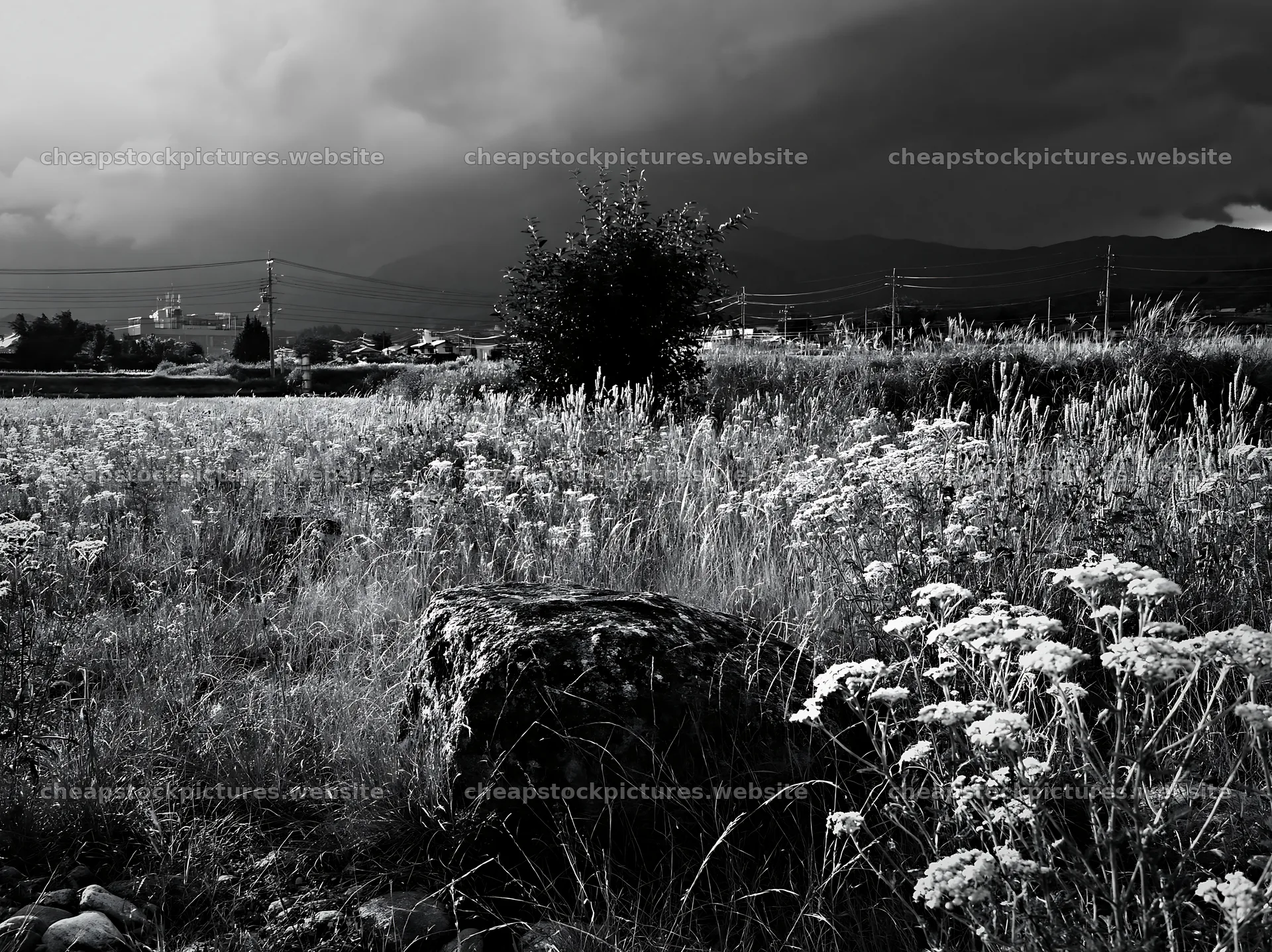 Nagano drought resilient meadow granite boulder under dark clouds – stock pictures 9174x6866