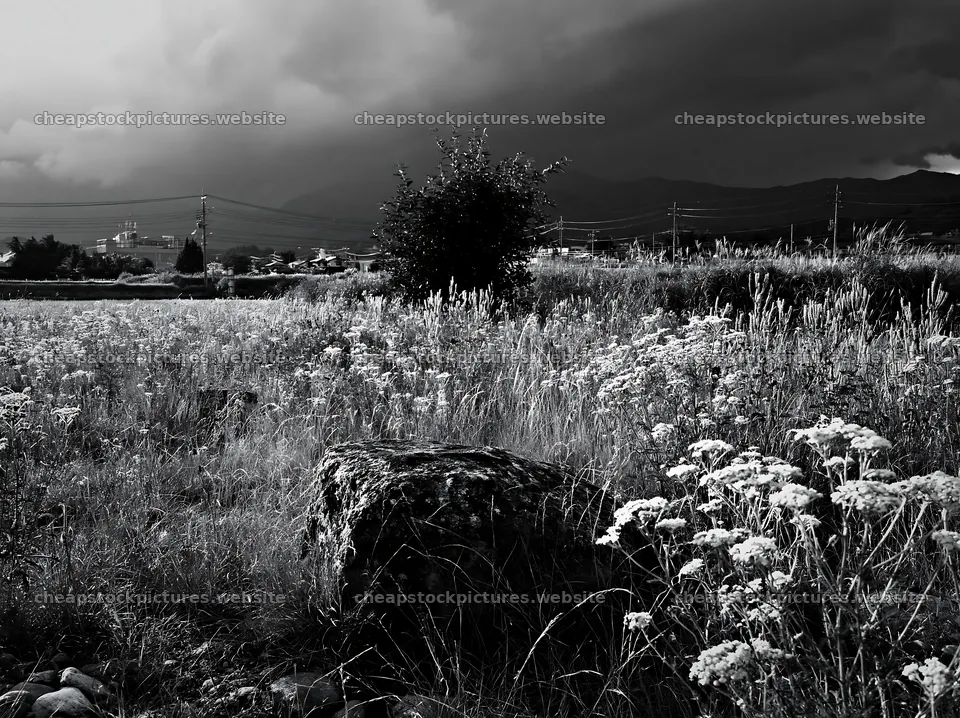 Nagano drought resilient meadow granite boulder under dark clouds – stock pictures 9174x6866
