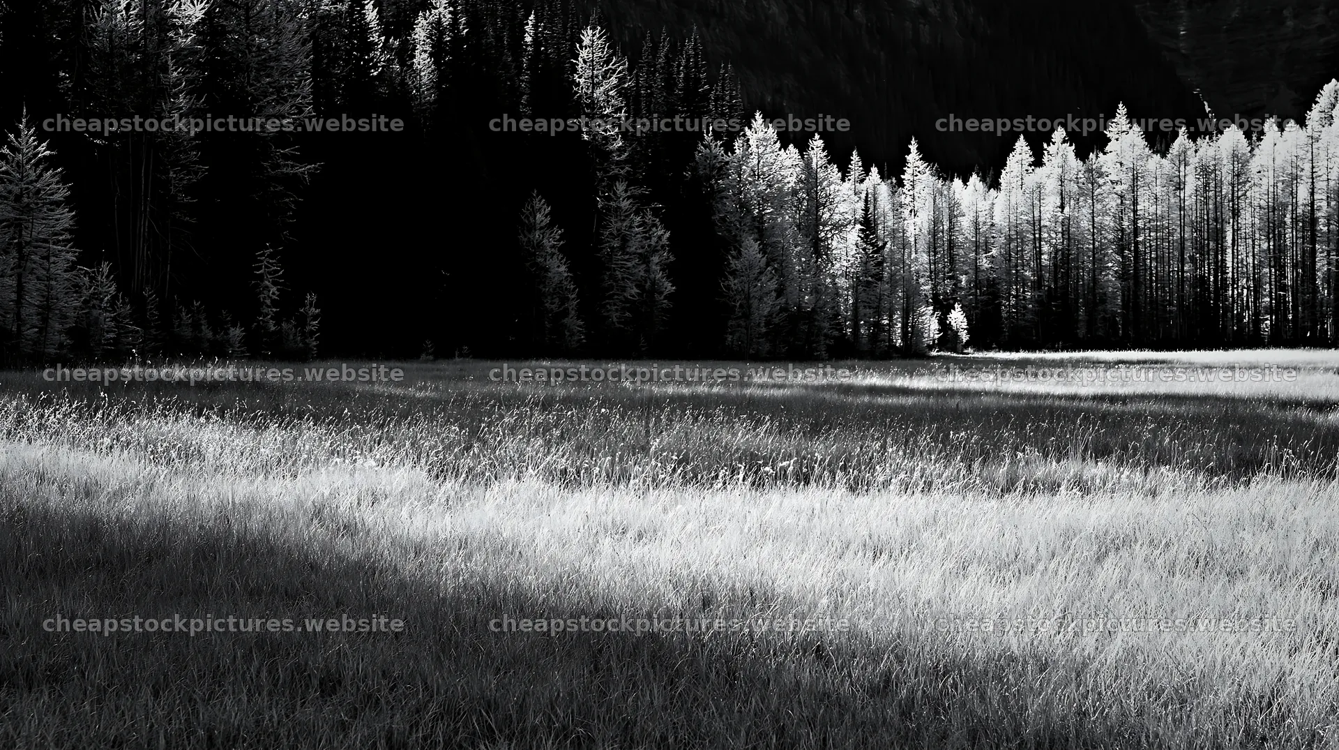 Light rays over Sunshine Meadows in Banff National Park – stock pictures 10608x5938