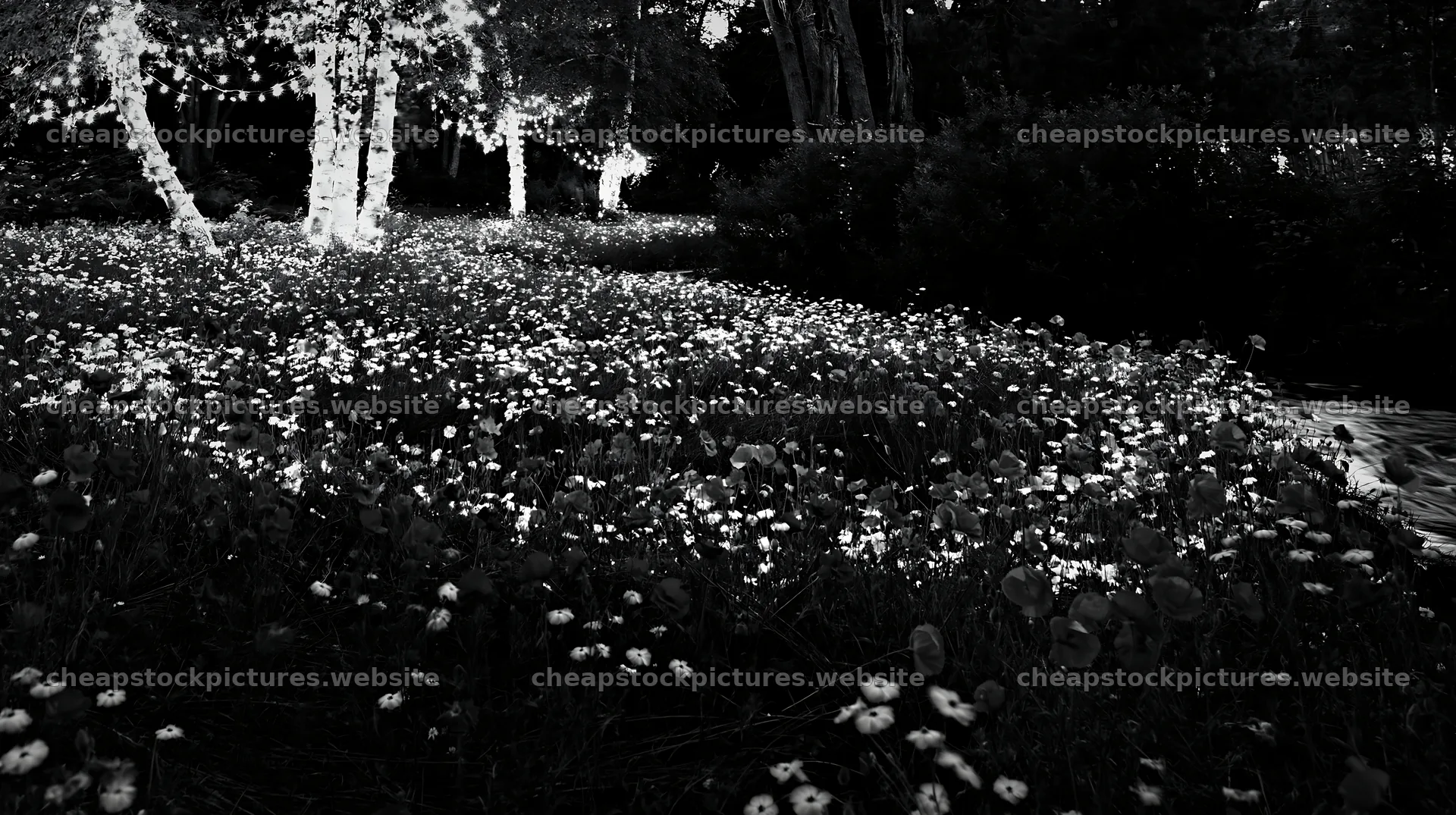 Christmas lights above stream in meadow during nighttime – stock pictures 10608x5938
