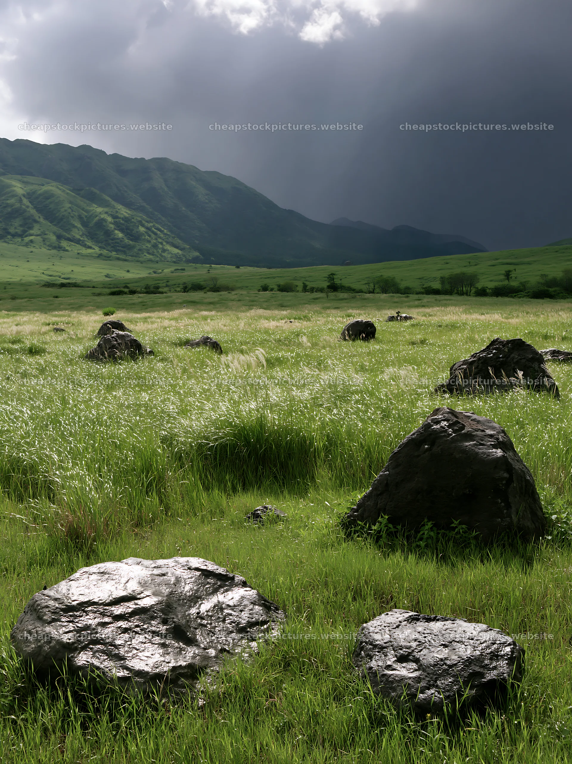 Restored Kumamoto silver grass meadow boulders in cloudy weather – stock pictures 6866x9174