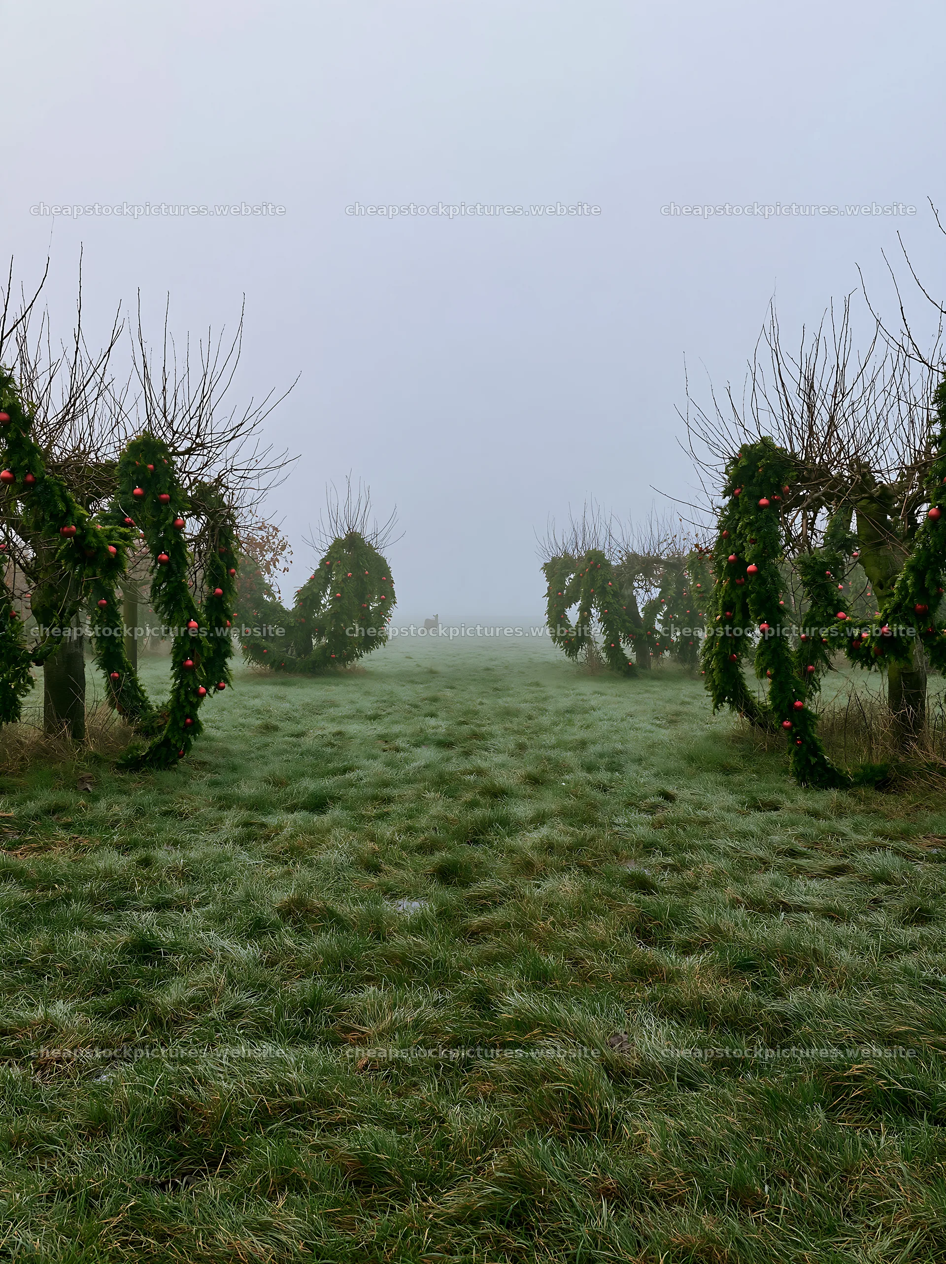 Christmas meadow with apple trees and garlands – stock pictures 6866x9174