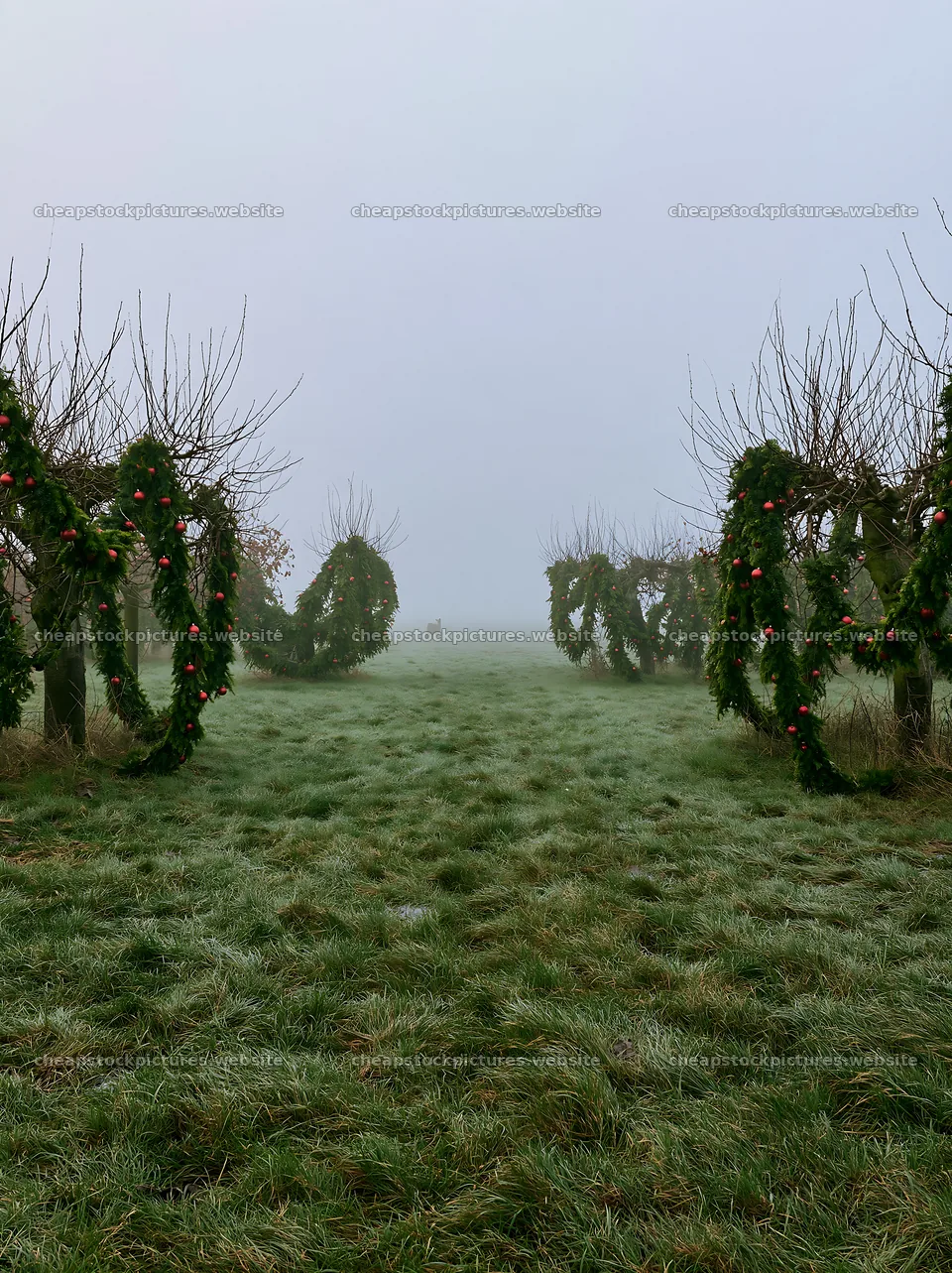 Christmas meadow with apple trees and garlands – stock pictures 6866x9174