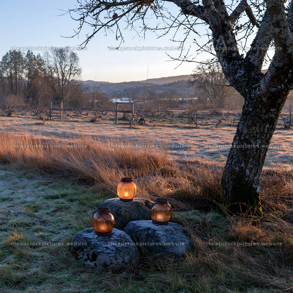 Christmas lanterns by frosted stones under a tree – stock pictures 7938x7938
