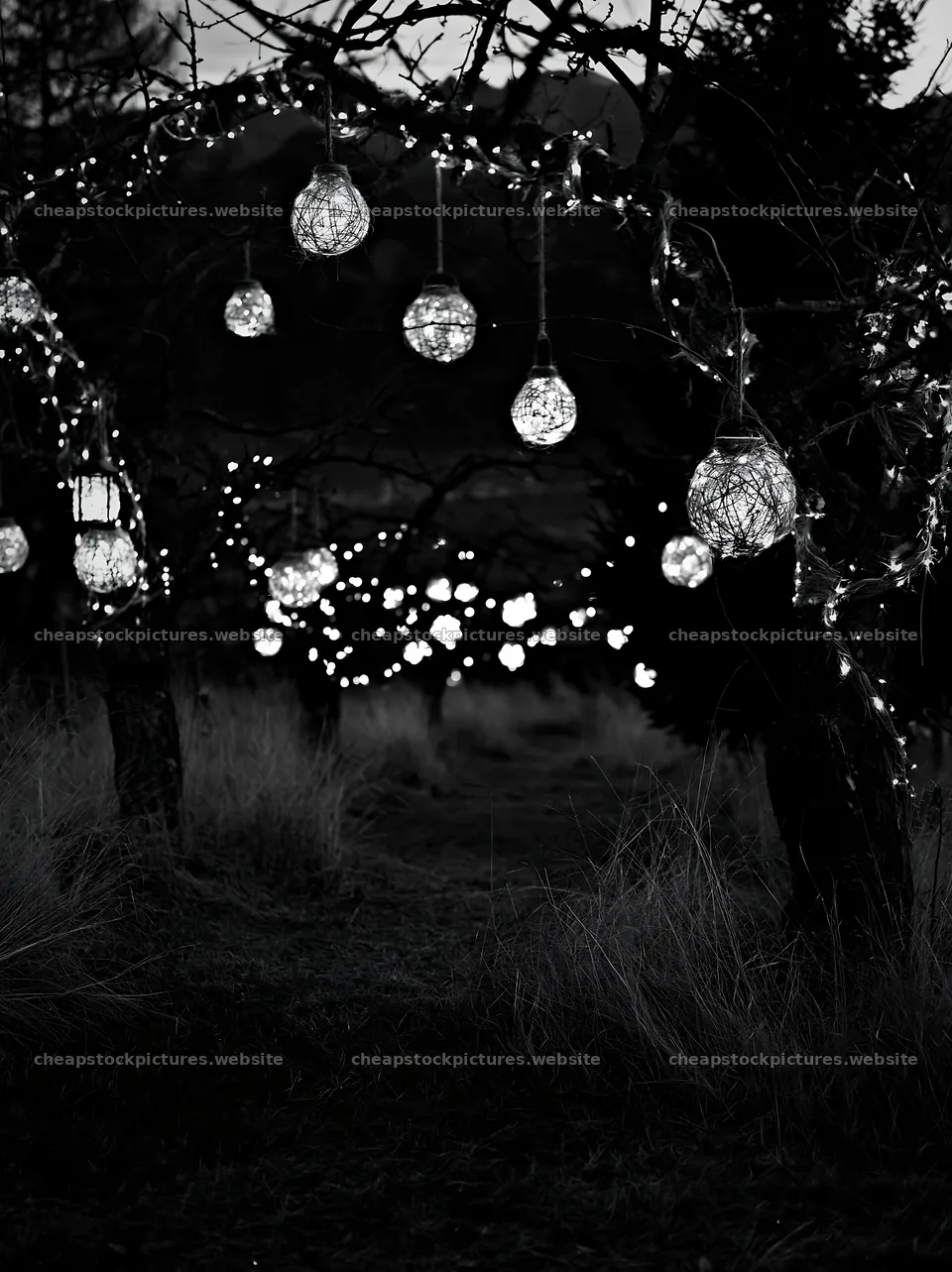 Christmas lights and decorations in a meadow with apple trees – stock pictures 6866x9174