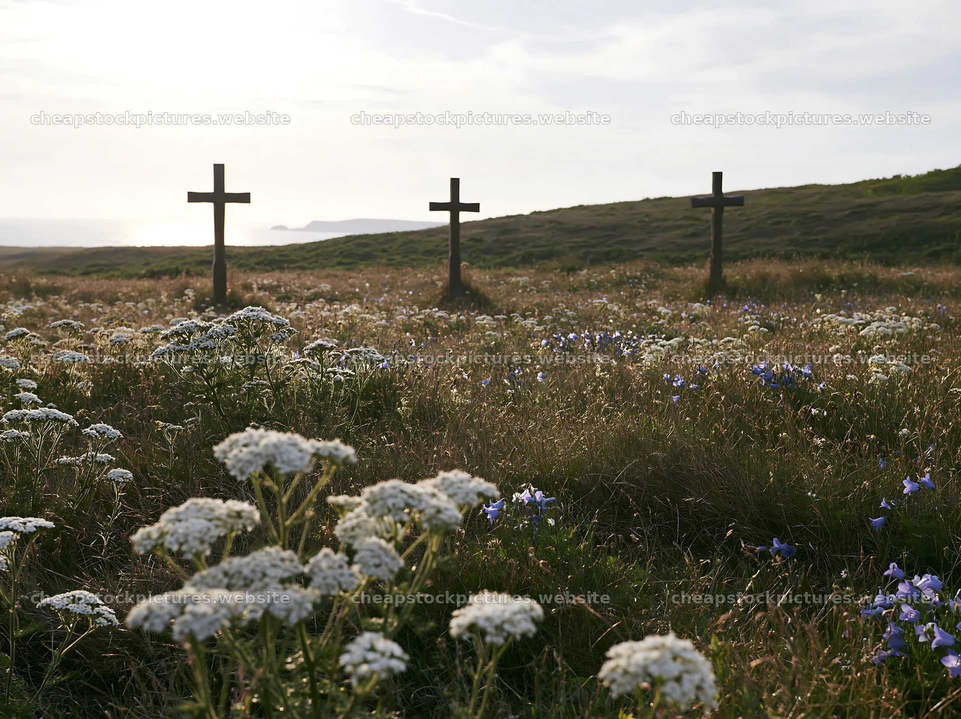 Three Christian crosses in a meadow with wildflowers – stock pictures 9174x6866