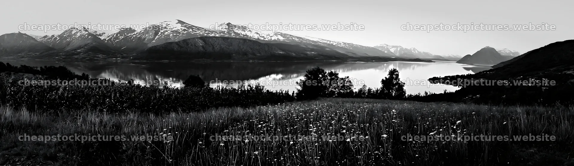 Fjord orchard meadow with mountains and water reflection – stock pictures 14762x4268