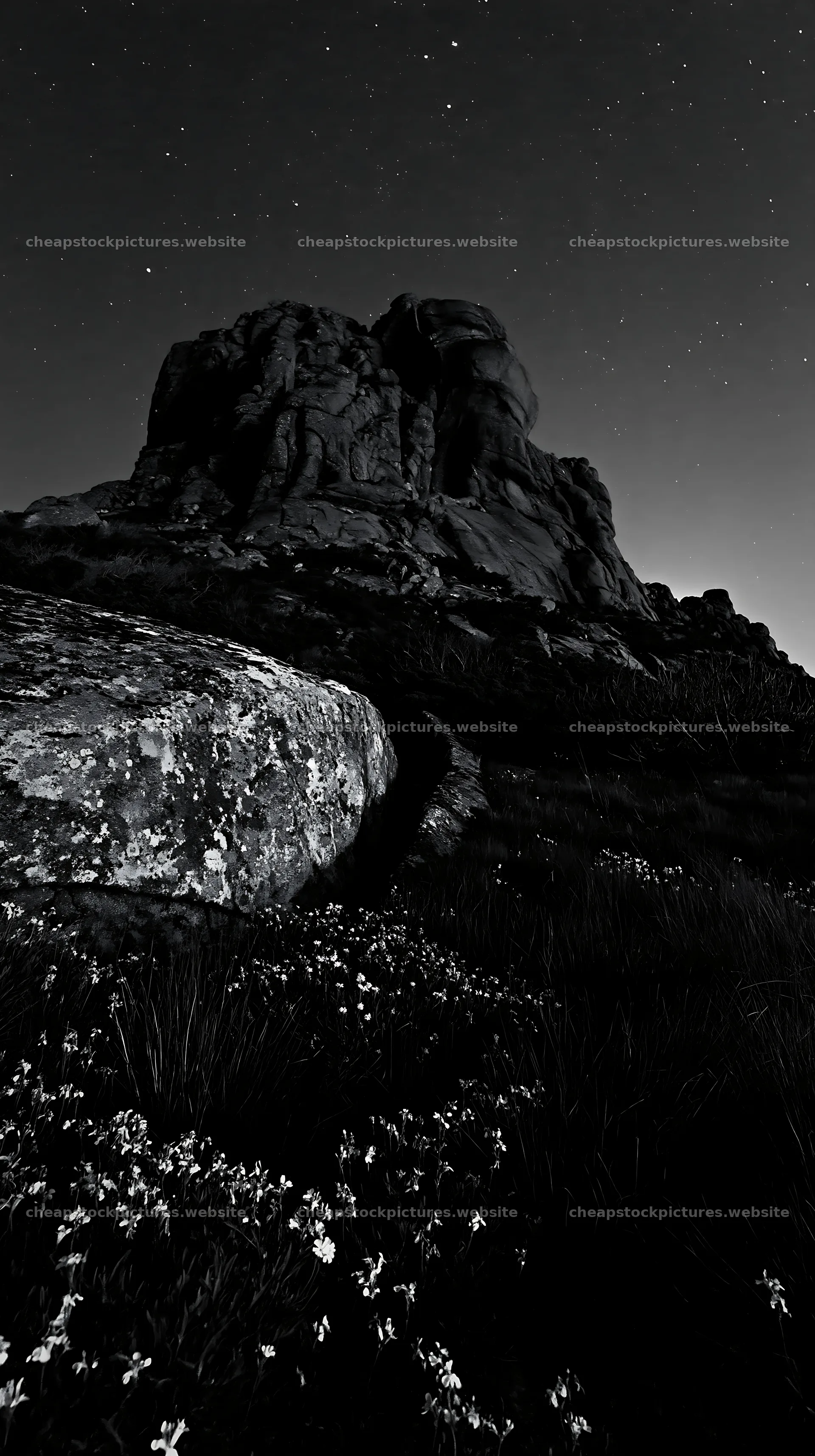 Moonrise over rocky landscape with wildflowers – stock pictures 5938x10608
