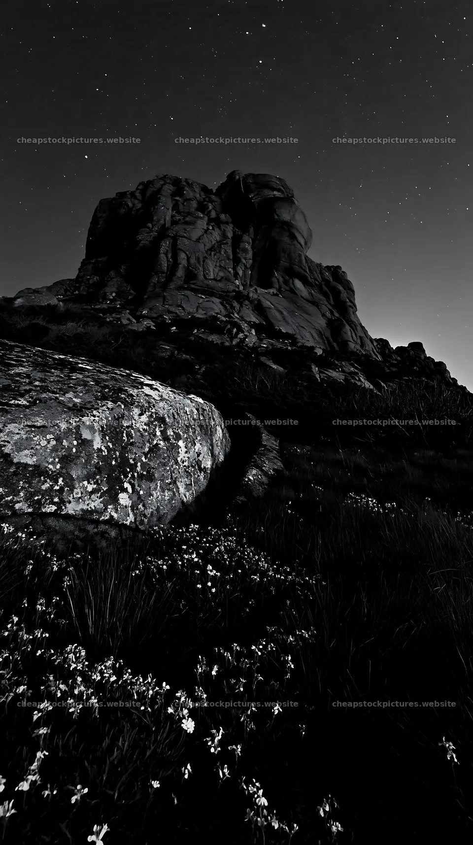 Moonrise over rocky landscape with wildflowers – stock pictures 5938x10608