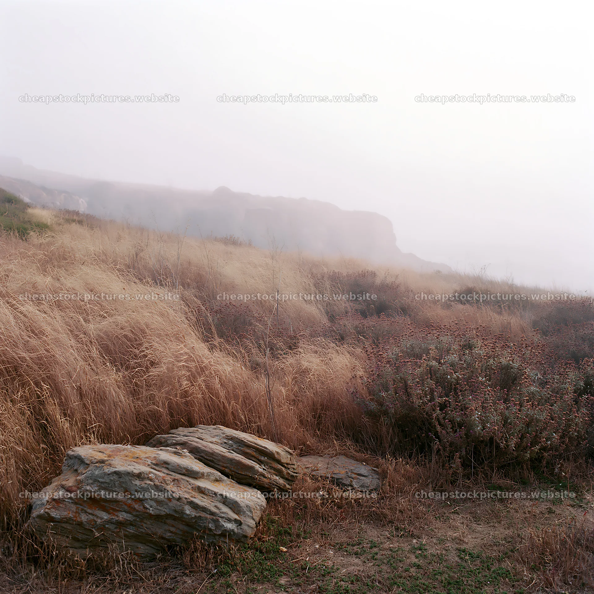 Drought-tolerant meadow with rocky formations and fog – stock pictures 7938x7938
