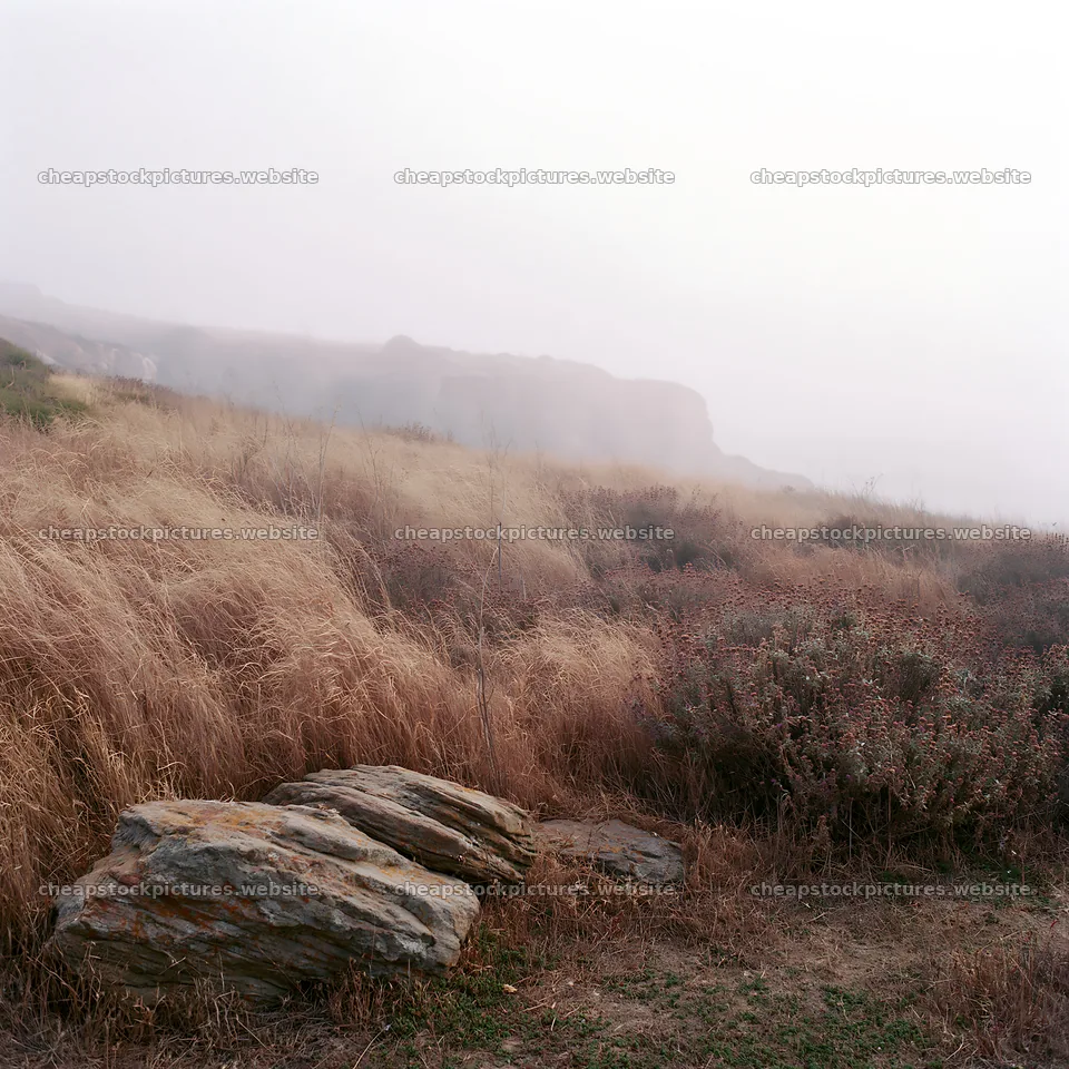 Drought-tolerant meadow with rocky formations and fog – stock pictures 7938x7938