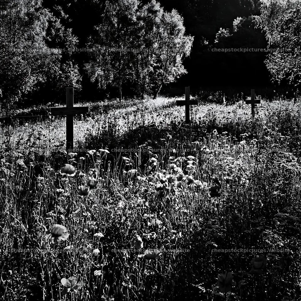 Wooden crosses in a meadow during Christmas time – stock pictures 7938x7938