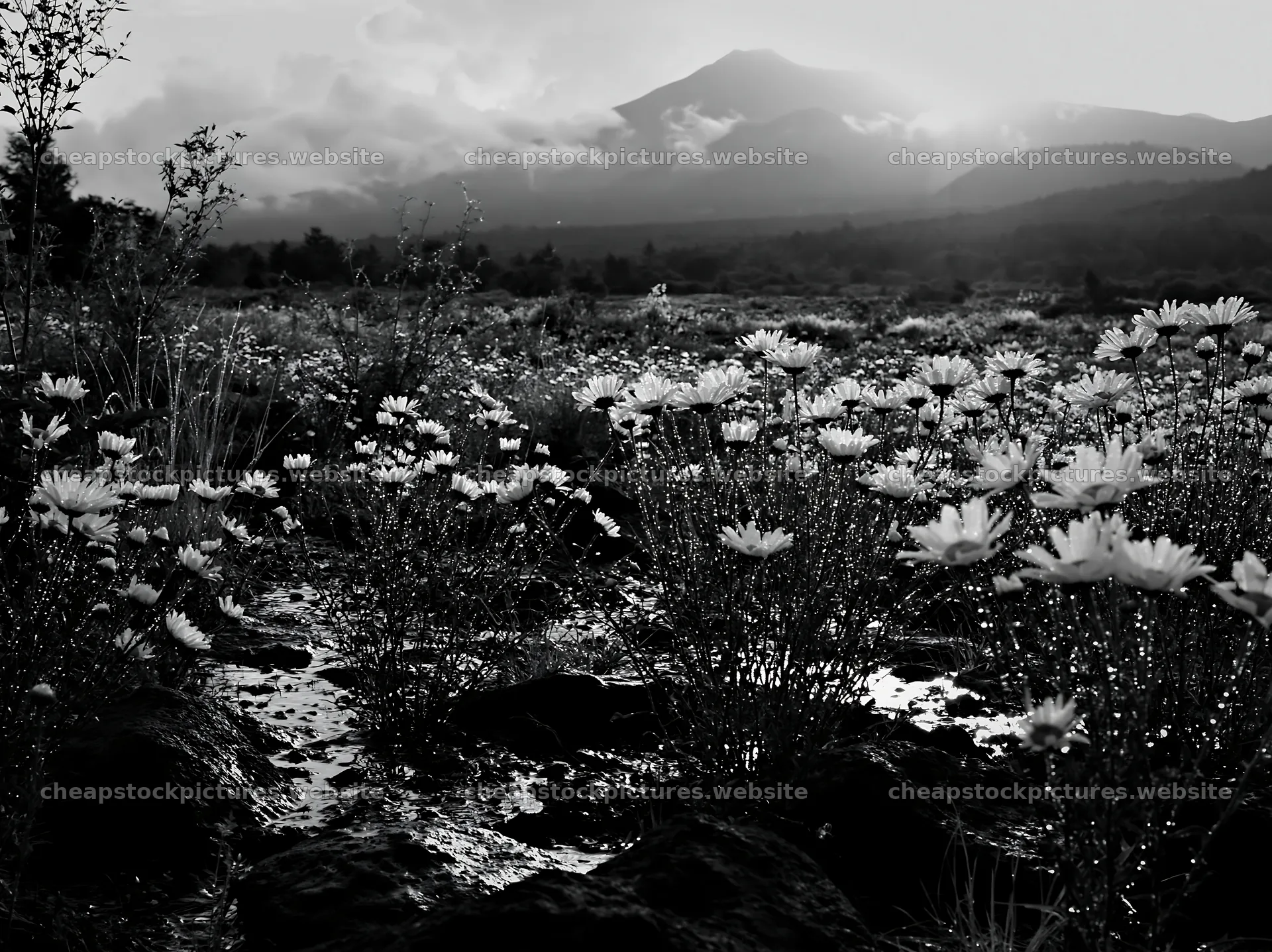 Yamanashi regenerative meadow with basalt stones under cloudy sky – stock pictures 9174x6866