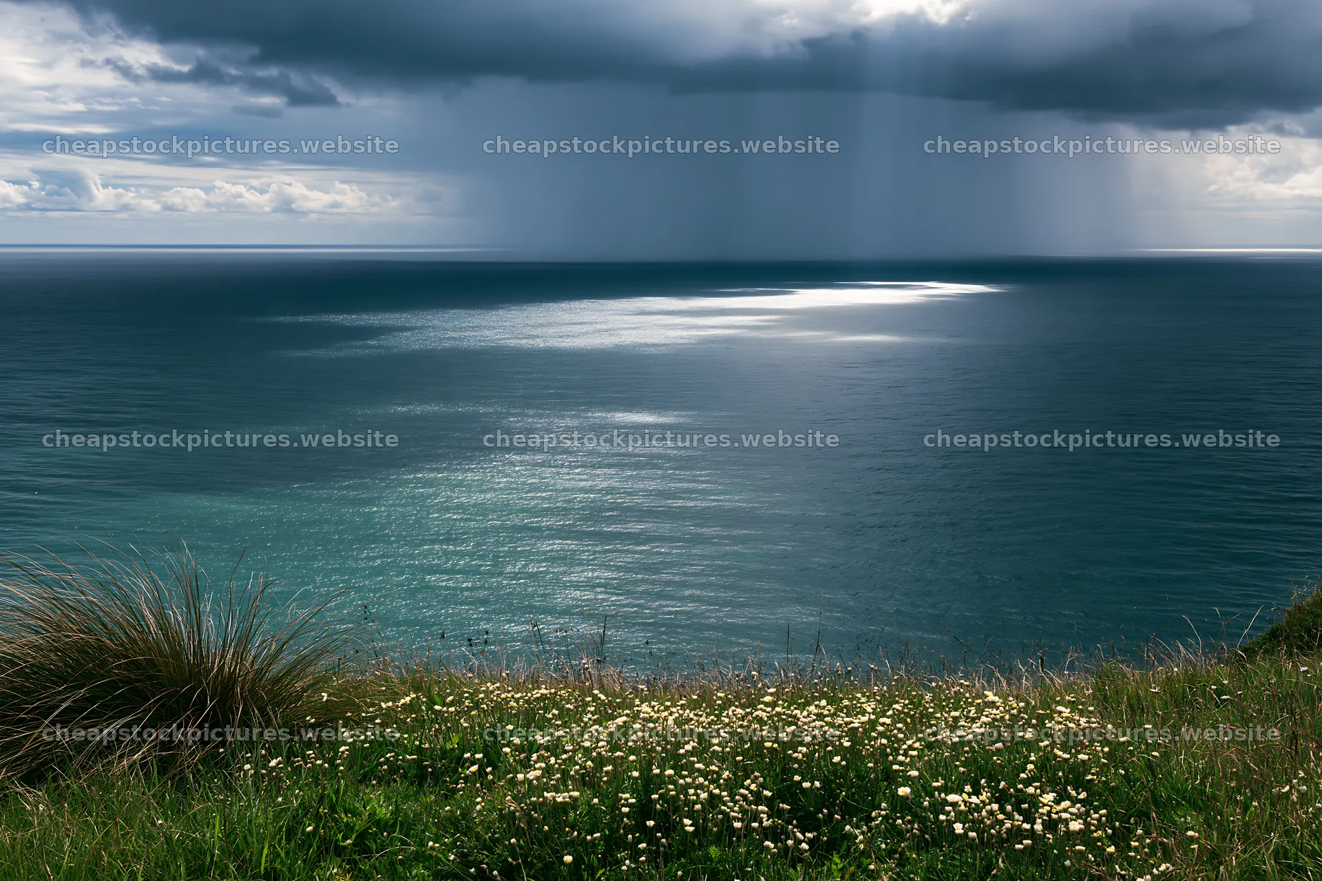 Coastal meadow cliffs overlooking the ocean with rain in distance – stock pictures 9722x6480
