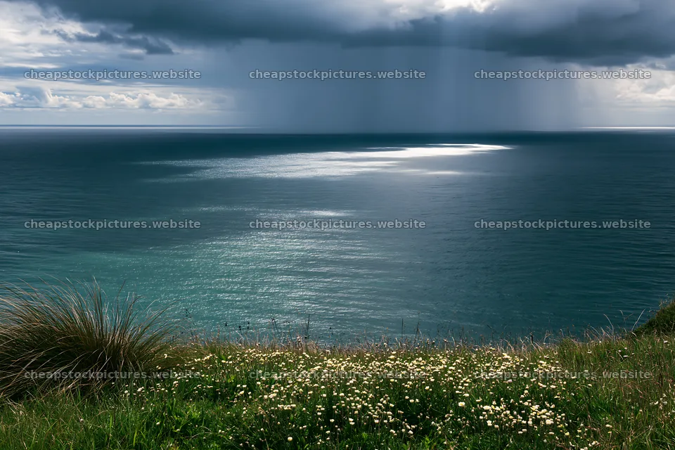 Coastal meadow cliffs overlooking the ocean with rain in distance – stock pictures 9722x6480