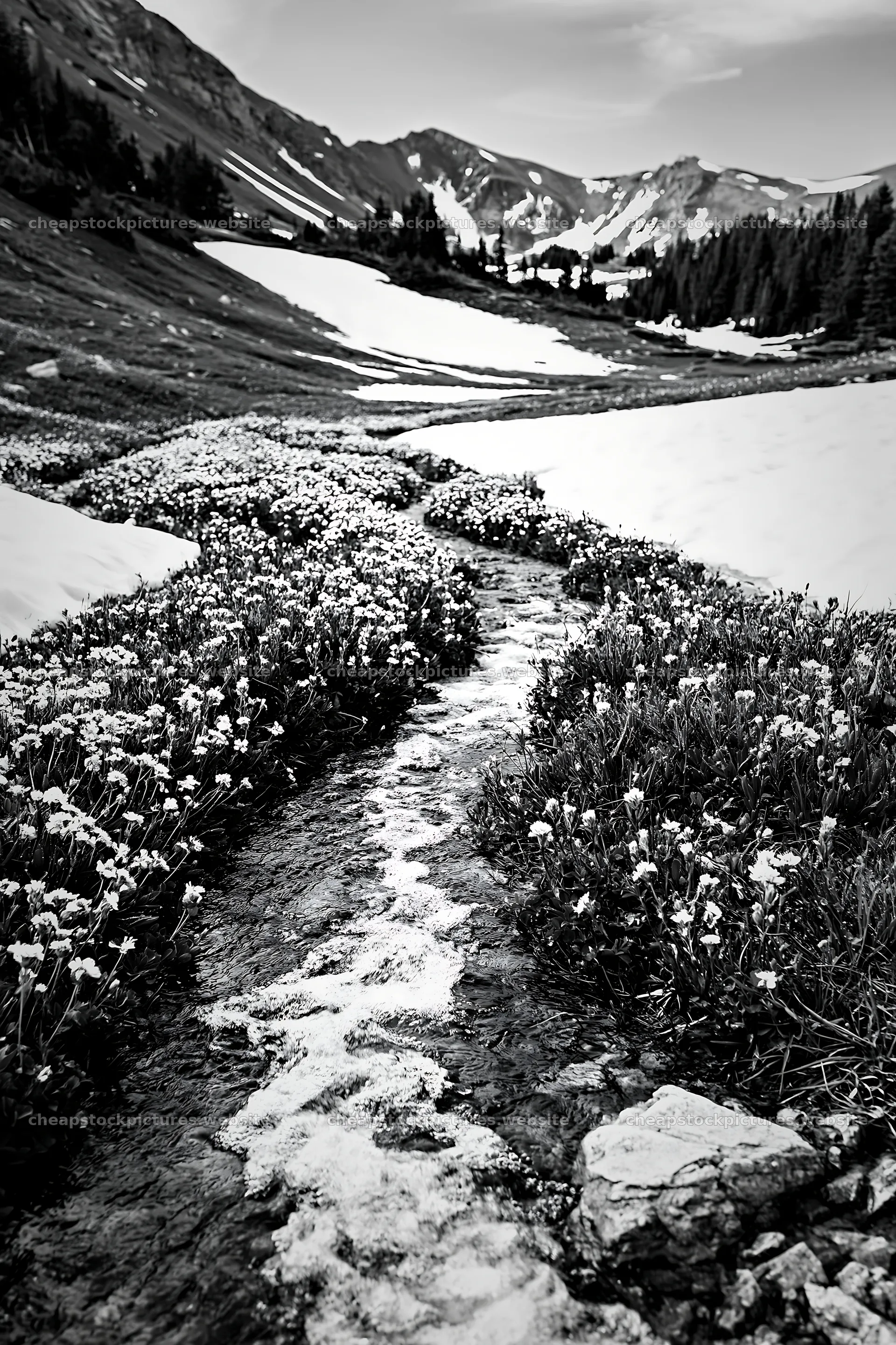 Snowy Rocky Mountain Park meadow with flowing stream – stock pictures 6480x9722