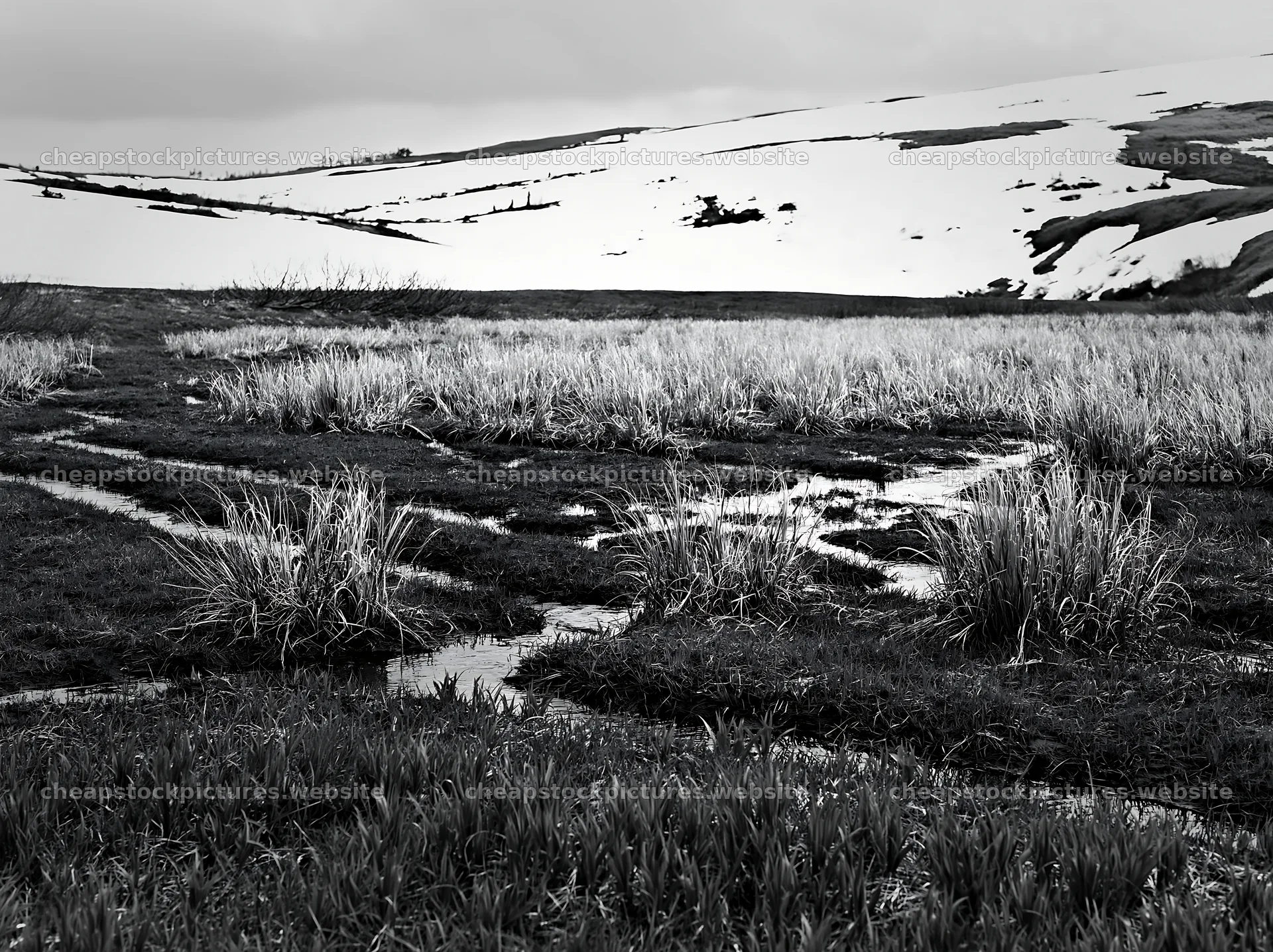 Akita snowmelt meadow with silver grasses in early spring – stock pictures 9174x6866