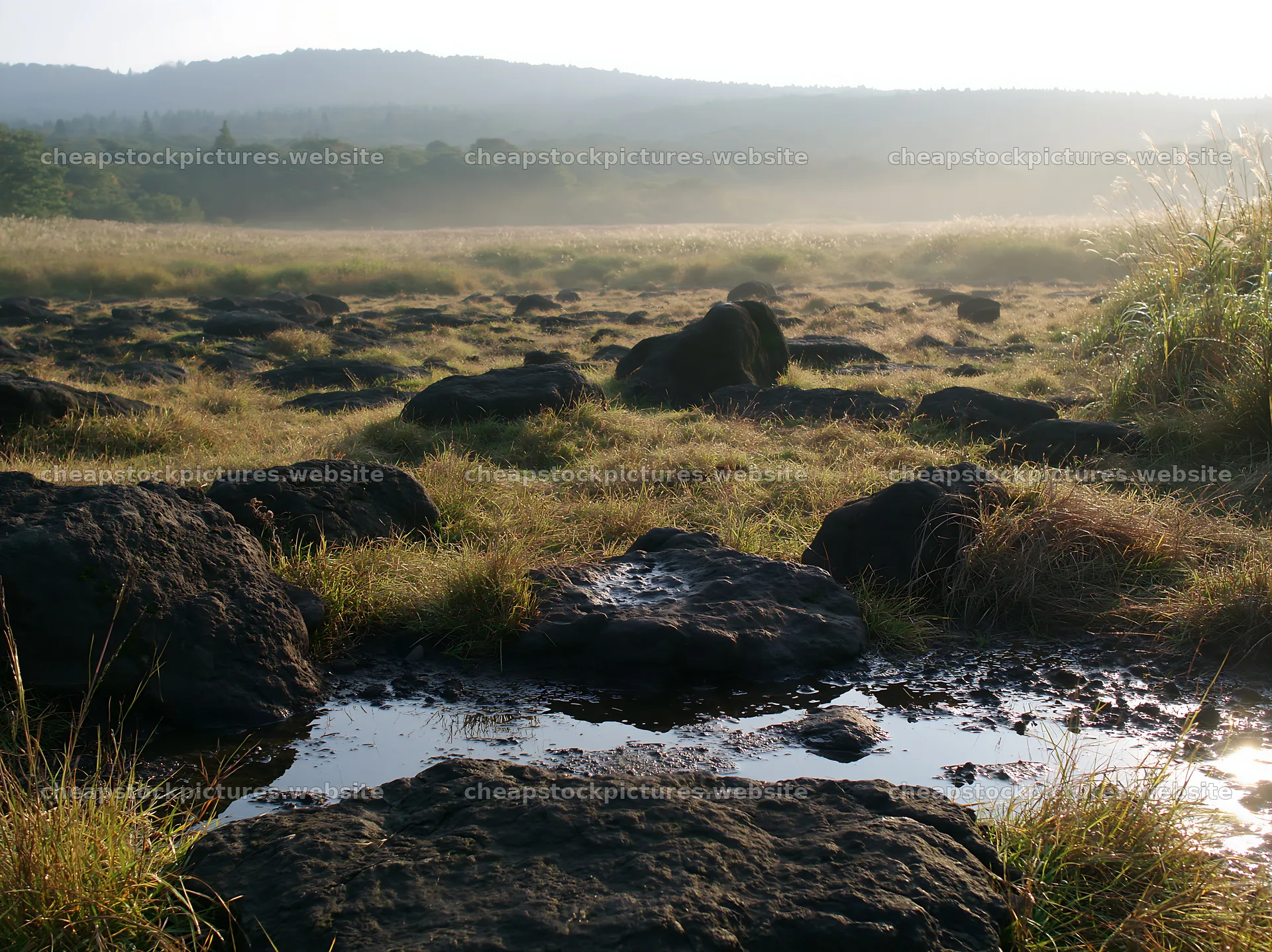 Kanagawa heat resilient meadow with volcanic stones at sunrise – stock pictures 9174x6866