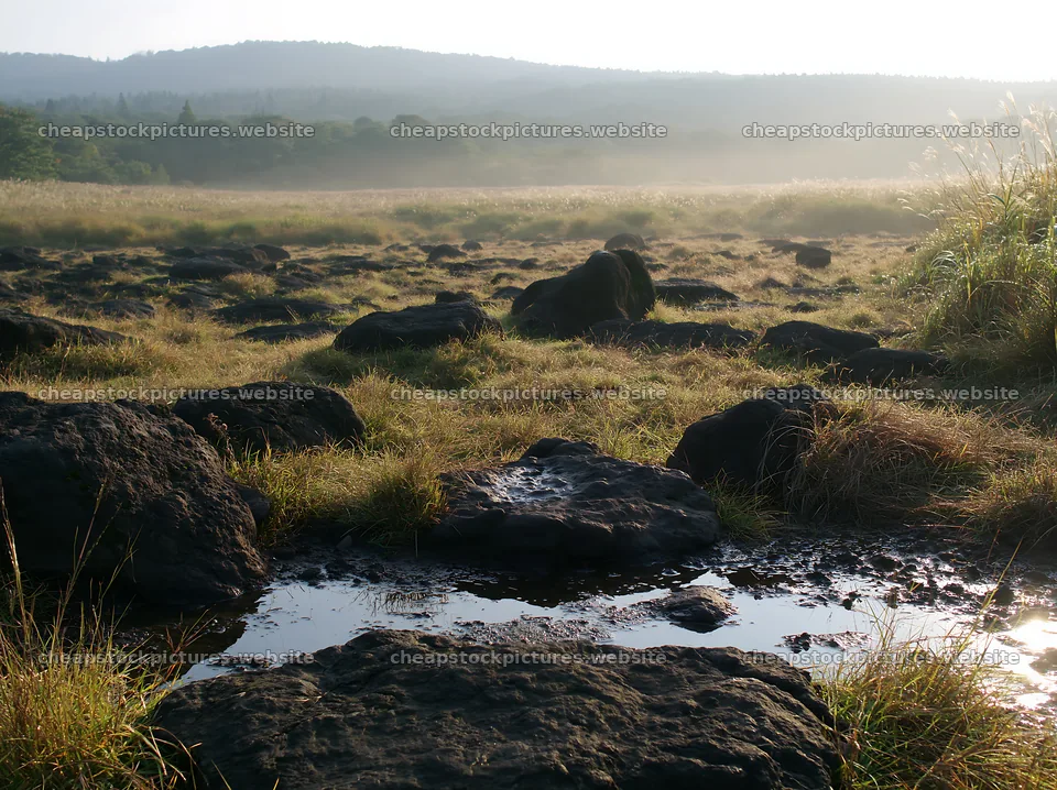 Kanagawa heat resilient meadow with volcanic stones at sunrise – stock pictures 9174x6866