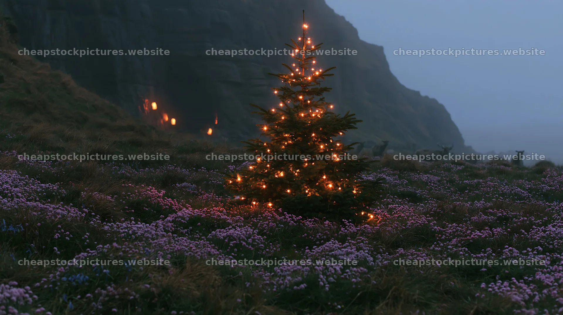 Christmas tree at dusk in meadow by cave – stock pictures 10608x5938