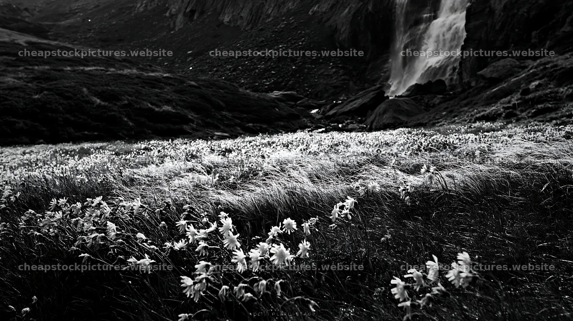 Flowering meadow near mountain falls during daylight – stock pictures 10608x5938