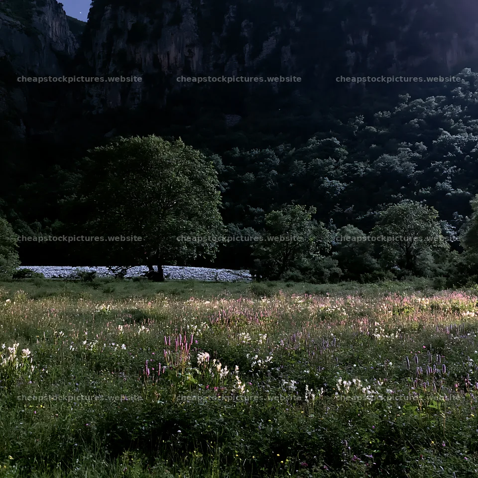 Moonlit meadow with trees and mountains in background – stock pictures 7938x7938