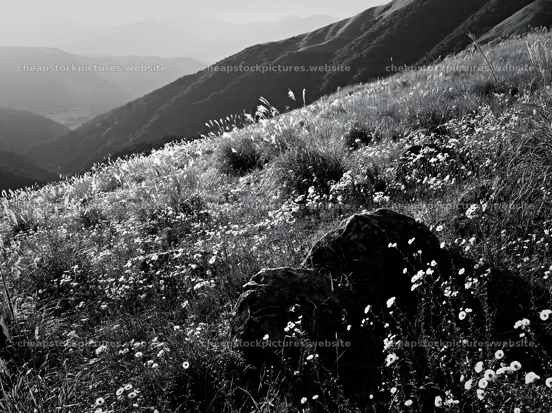 Oita highland meadow with granite stones in sunlight – stock pictures 9174x6866