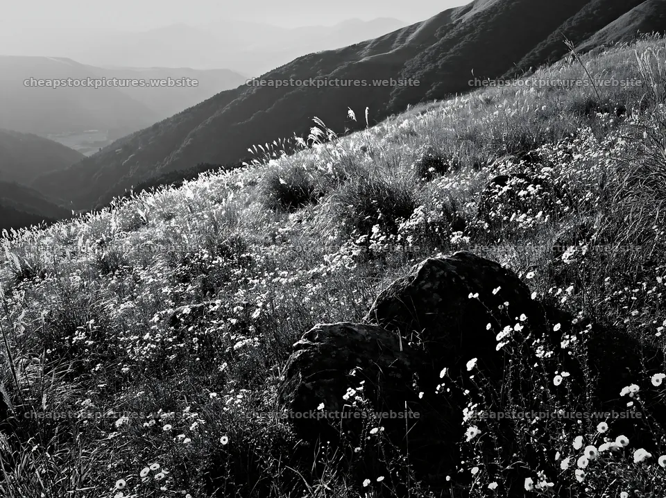 Oita highland meadow with granite stones in sunlight – stock pictures 9174x6866