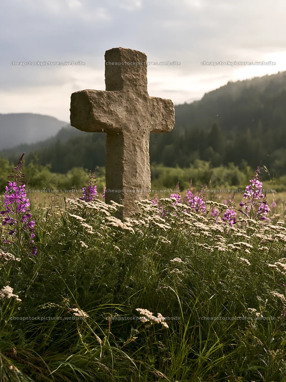 Christian cross in a meadow with wildflowers during Christmas – stock pictures 6866x9174