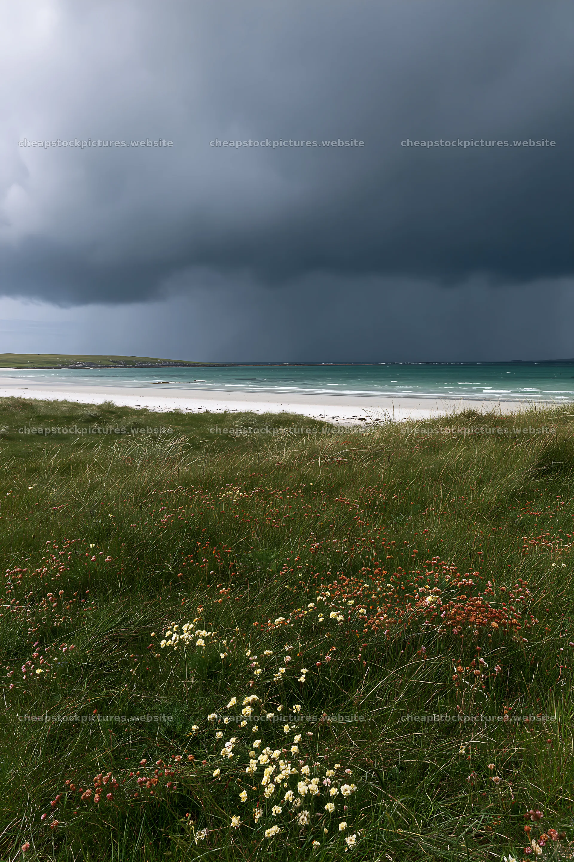 Climate-resilient meadow with storm clouds over the coast – stock pictures 6480x9722