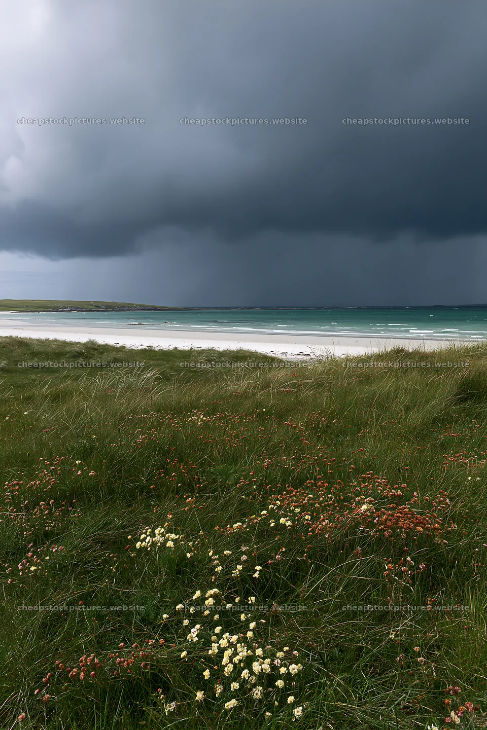 Climate-resilient meadow with storm clouds over the coast – stock pictures 6480x9722