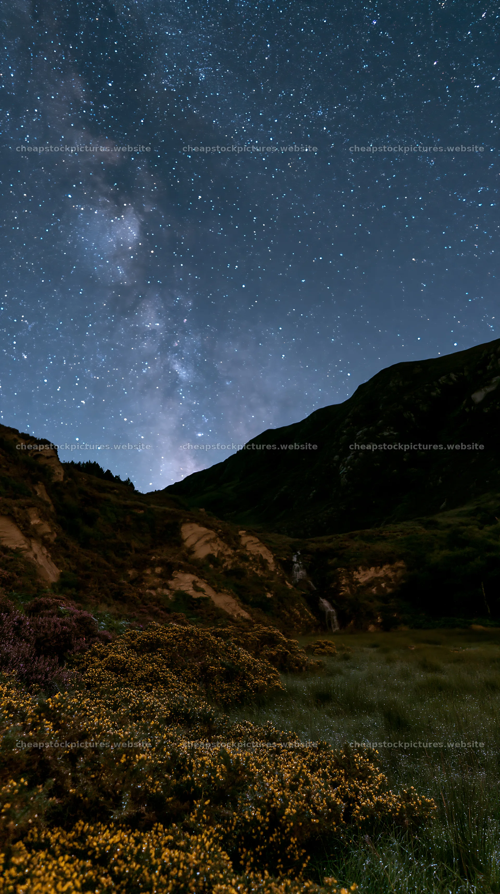 Starry night over a meadow with mountains in the background – stock pictures 5938x10608