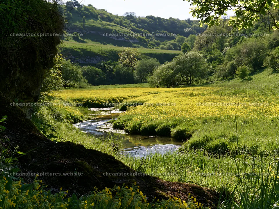 High contrast brook meadow with stream in green landscape – stock pictures 9174x6866